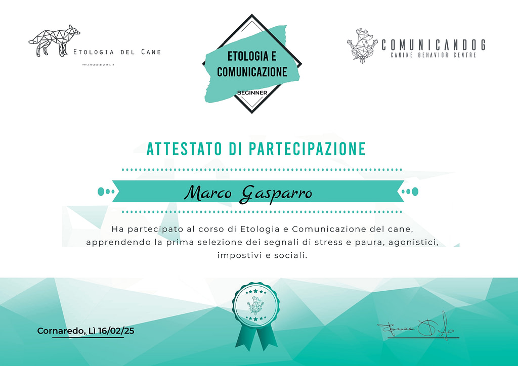 Etologia e Comunicazione del Cane - Beginner.