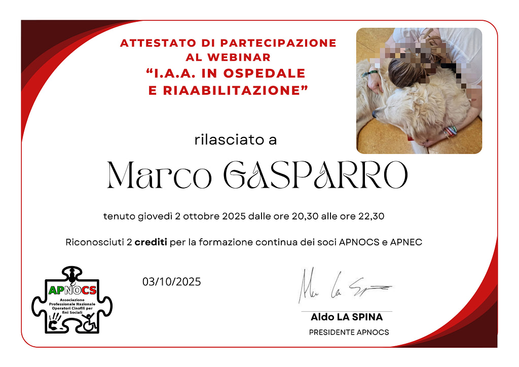 I.A.A. in Ospedale e rIAAbilitazione 1 I.A.A. in Ospedale e rIAAbilitazione