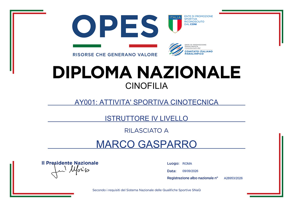 Diploma Nazionale OPES Istruttore IV Livello 1 Diploma Nazionale OPES Istruttore IV Livello
