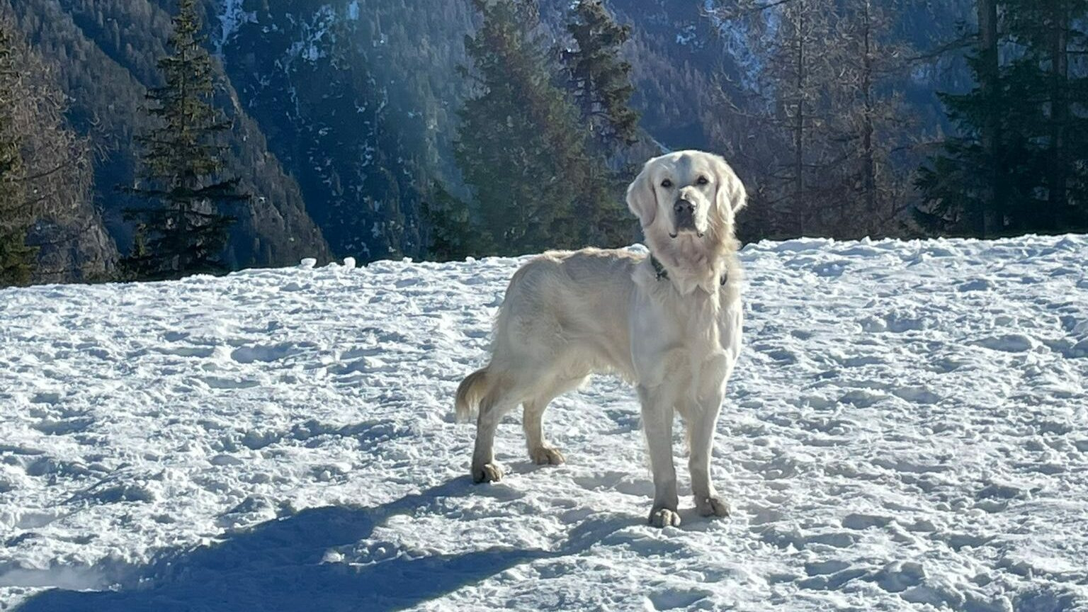 sky4