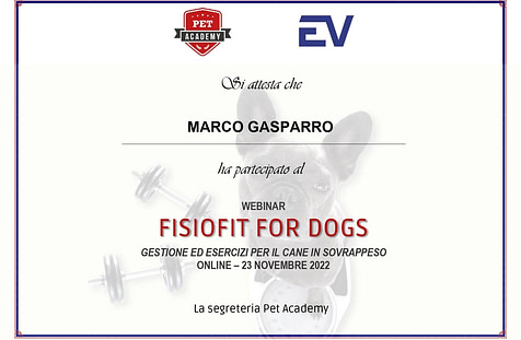 Fisiofit for Dogs, gestione ed esercizi per il cane in sovrappeso