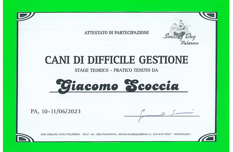 Stage teorico pratico Cani di Difficile Gestione tenuto da Giacomo Scoccia
