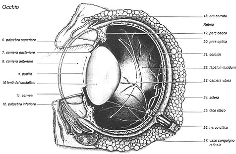 Oculopatie ereditarie
