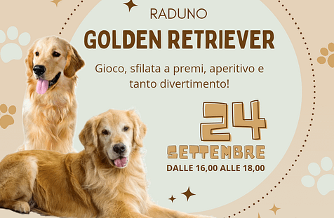 Raduno Golden Retriever a Palermo