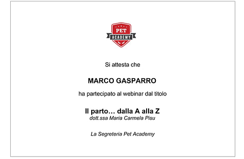 Il parto dalla A alla Z