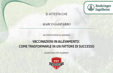 Vaccinazioni in Allevamento: Come trasformarle in un fattore di successo