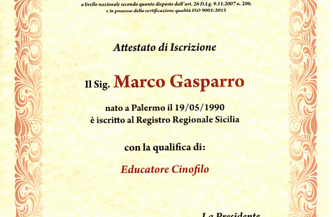 A.P.N.E.C. Associazione Professionale Nazione Educatori Cinofili