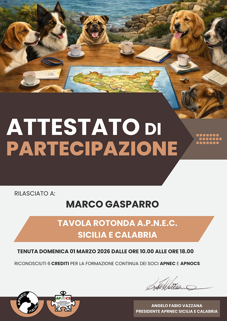 Tavola Rotonda APNEC - Sicilia e Calabria