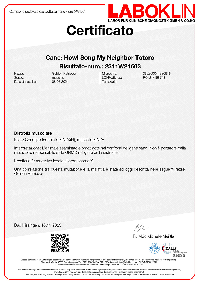 Certificato-2311W21603-8076-page-00001